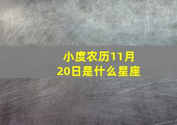 小度农历11月20日是什么星座