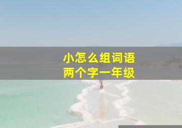 小怎么组词语两个字一年级