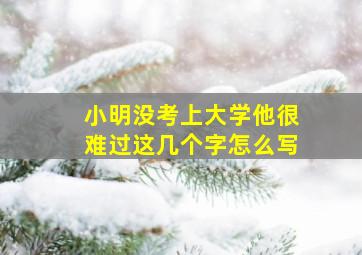 小明没考上大学他很难过这几个字怎么写