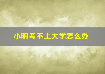 小明考不上大学怎么办