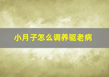 小月子怎么调养驱老病