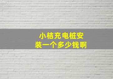 小桔充电桩安装一个多少钱啊