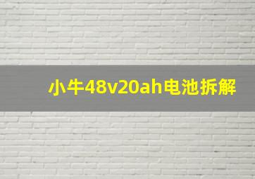 小牛48v20ah电池拆解