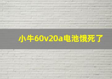 小牛60v20a电池饿死了