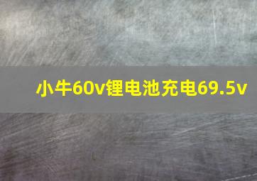 小牛60v锂电池充电69.5v