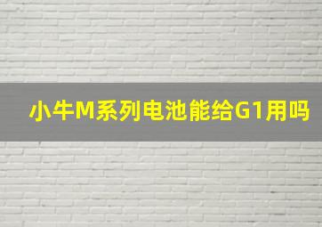 小牛M系列电池能给G1用吗