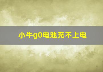 小牛g0电池充不上电