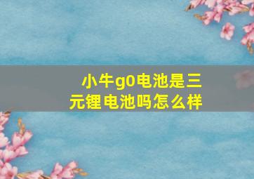 小牛g0电池是三元锂电池吗怎么样