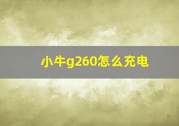 小牛g260怎么充电