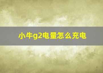 小牛g2电量怎么充电