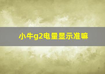 小牛g2电量显示准嘛