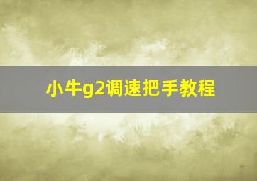 小牛g2调速把手教程