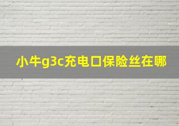 小牛g3c充电口保险丝在哪