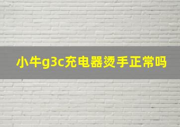 小牛g3c充电器烫手正常吗