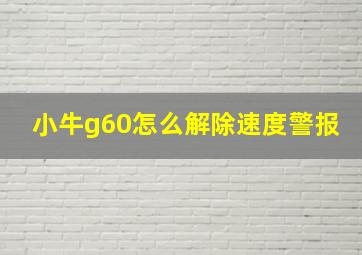 小牛g60怎么解除速度警报