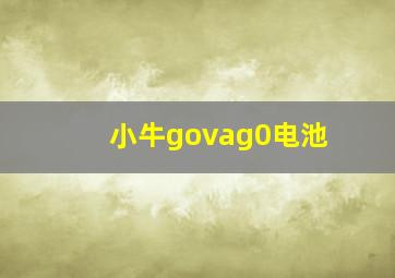 小牛govag0电池