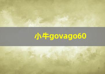 小牛govago60