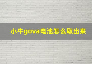 小牛gova电池怎么取出来