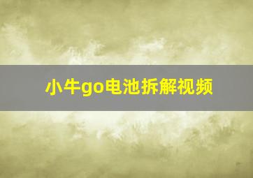 小牛go电池拆解视频