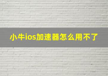 小牛ios加速器怎么用不了