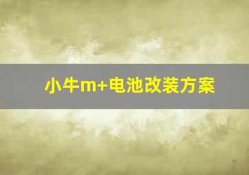 小牛m+电池改装方案