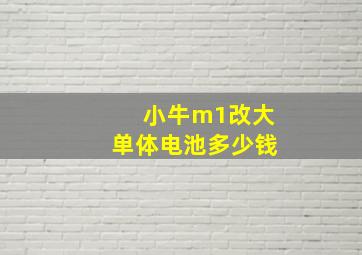 小牛m1改大单体电池多少钱