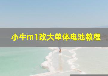 小牛m1改大单体电池教程