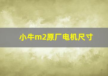 小牛m2原厂电机尺寸