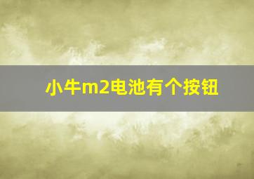 小牛m2电池有个按钮