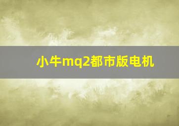 小牛mq2都市版电机