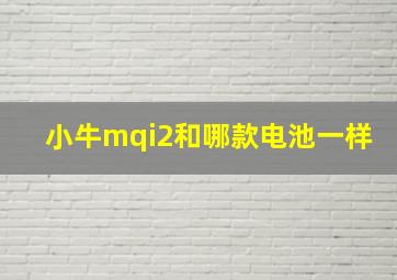 小牛mqi2和哪款电池一样