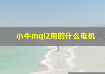 小牛mqi2用的什么电机