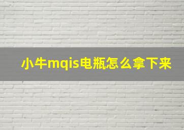 小牛mqis电瓶怎么拿下来