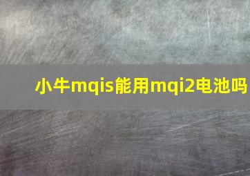 小牛mqis能用mqi2电池吗