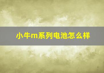 小牛m系列电池怎么样