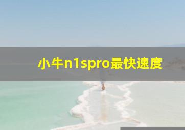 小牛n1spro最快速度