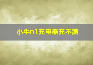 小牛n1充电器充不满