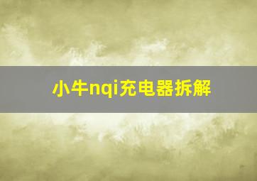 小牛nqi充电器拆解