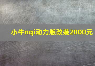 小牛nqi动力版改装2000元