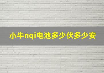 小牛nqi电池多少伏多少安