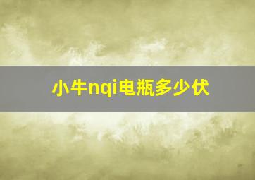 小牛nqi电瓶多少伏