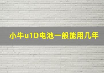 小牛u1D电池一般能用几年