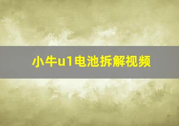 小牛u1电池拆解视频