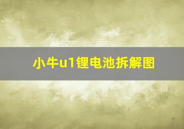 小牛u1锂电池拆解图