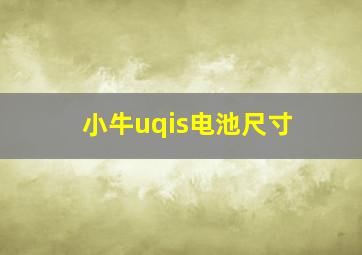 小牛uqis电池尺寸