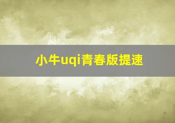 小牛uqi青春版提速