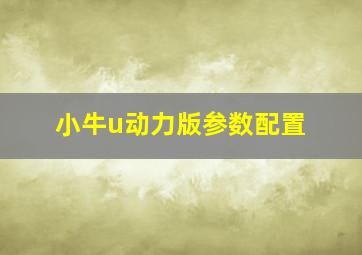 小牛u动力版参数配置