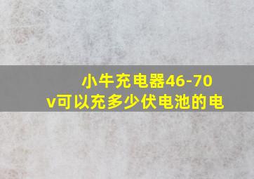 小牛充电器46-70v可以充多少伏电池的电