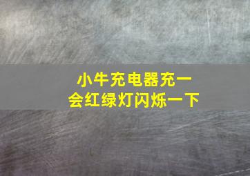 小牛充电器充一会红绿灯闪烁一下