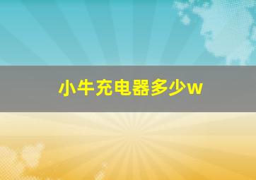 小牛充电器多少w